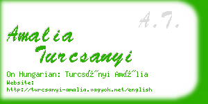 amalia turcsanyi business card